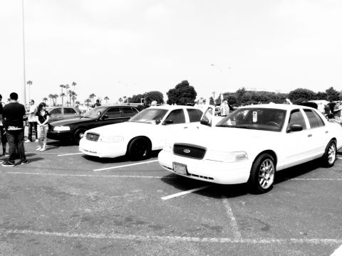 2003 Ford Crown Victoria - Monochrome shot of multiple Ford sedans parked with attendees nearby