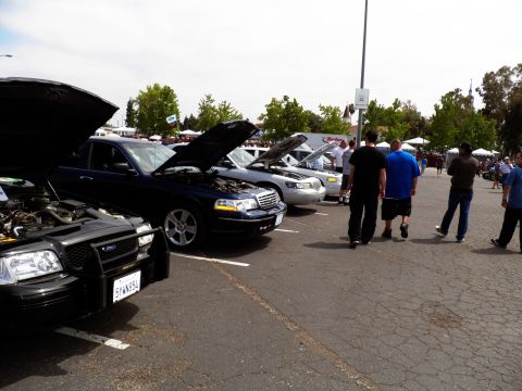 2003 Ford Crown Victoria - Black Ford sedan parked at a car show with a row of vehicles and crowd behind