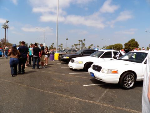 2003 Ford Crown Victoria - Spectators gather beside a row of white Crown Victoria Police Interceptors under palm trees and clear skies