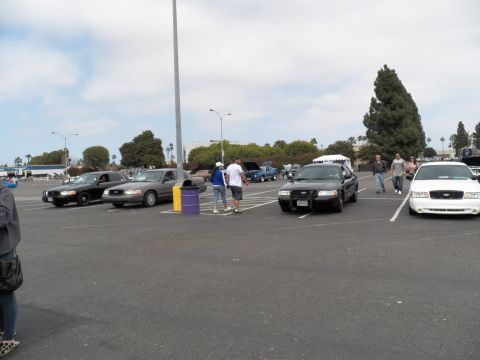 2003 Ford Crown Victoria - Crown Victoria police sedans angled in a lot as people walk between them under a gray sky