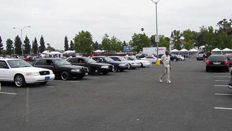 2003 Ford Crown Victoria - Black and white Crown Victoria sedans line a lot as a person in gray coveralls crosses the pavement