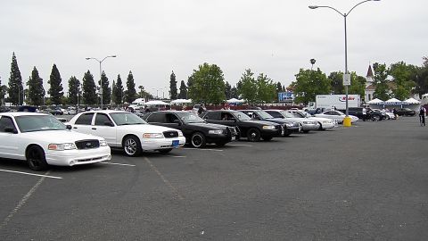 2003 Ford Crown Victoria - Front three-quarter view of a row of Crown Victoria sedans, lead car white with dark wheels