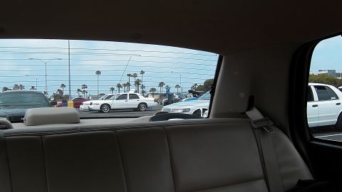 2003 Ford Crown Victoria - Tan cloth rear seat and interior frame a window view of white Crown Victoria sedans and palm trees