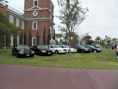 2003 Ford Crown Victoria - Crown Victoria sedans parked on a lawn under a young tree next to a brick colonial building