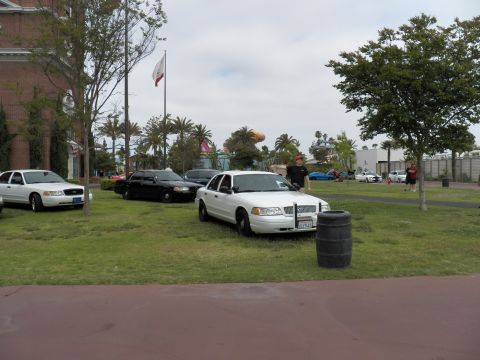 2003 Ford Crown Victoria - White Crown Victoria sedan beside black ones on a lawn, with a barrel, palms and overcast sky.