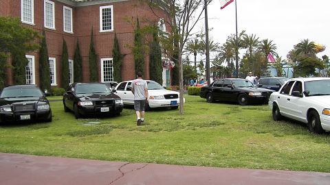 2003 Ford Crown Victoria - Person walks between black and white Crown Victoria sedans parked on grass near a brick hall.