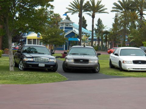 2003 Ford Crown Victoria - Crown Victorias with visible Ford grilles sit on lawn near palms and a blue park building.