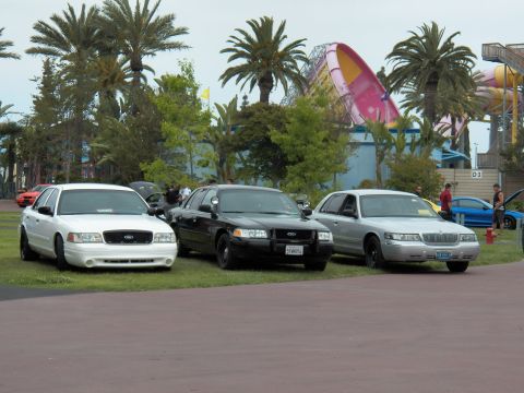 2003 Ford Crown Victoria - White, black and silver Crown Victorias park on lawn before a pink water slide and palms.
