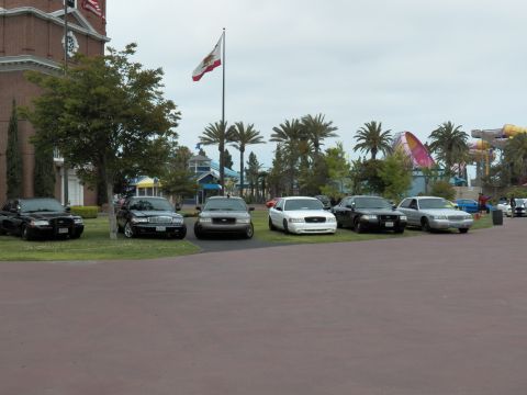 2003 Ford Crown Victoria - Ford sedans line the lawn beside a flagpole with palms and amusement rides in the distance.