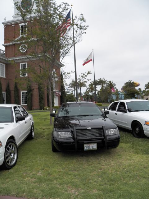 2003 Ford Crown Victoria - blacked-out Crown Victoria with push bar and EVIL VTC plate parks on lawn between white sedans.