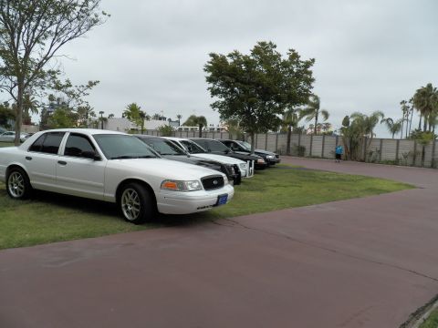2003 Ford Crown Victoria - Lead white Ford Crown Victoria on a red path, with a row of sedans and palm trees behind under overcast sky