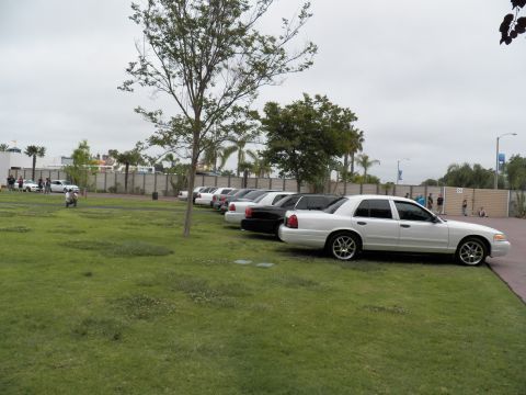 2003 Ford Crown Victoria - Silver and black full-size Ford sedans lined along a grass field with a perimeter wall behind
