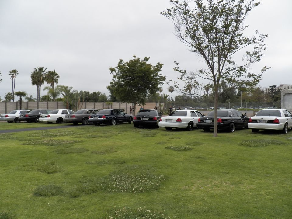 Crown Victoria and Grand Marquis sedans parked on grass beside a road