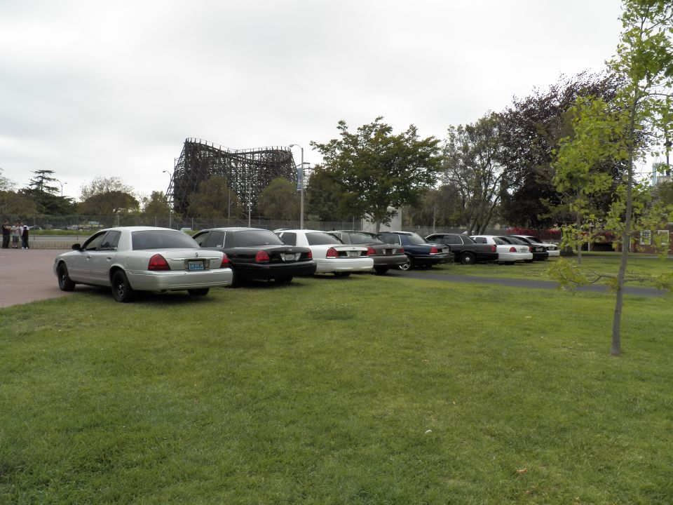 White Mercury Grand Marquis leading a row of full-size sedans on grass