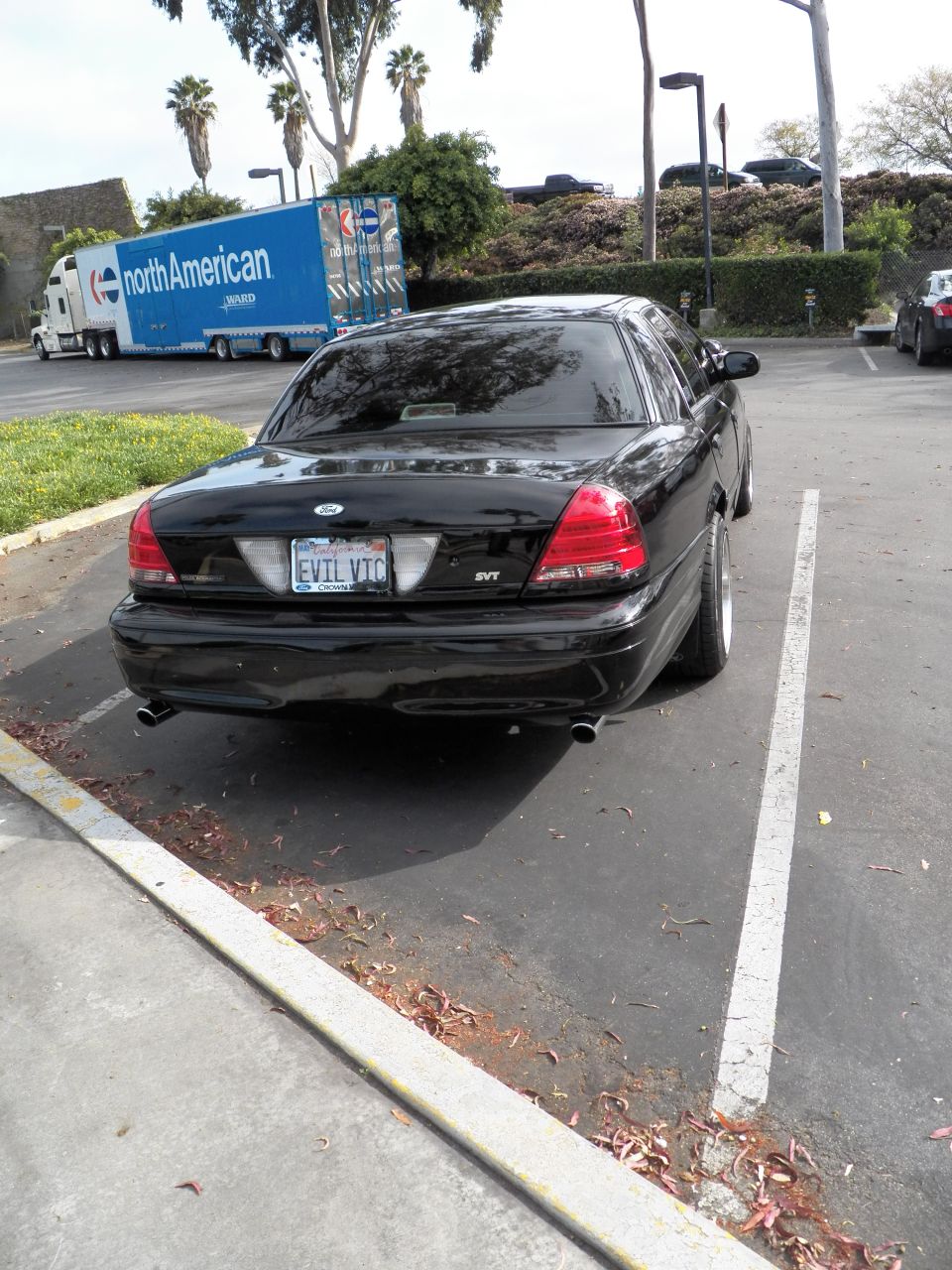 Rear view of black Crown Victoria SVT with EVIL VIC plate and dual tips