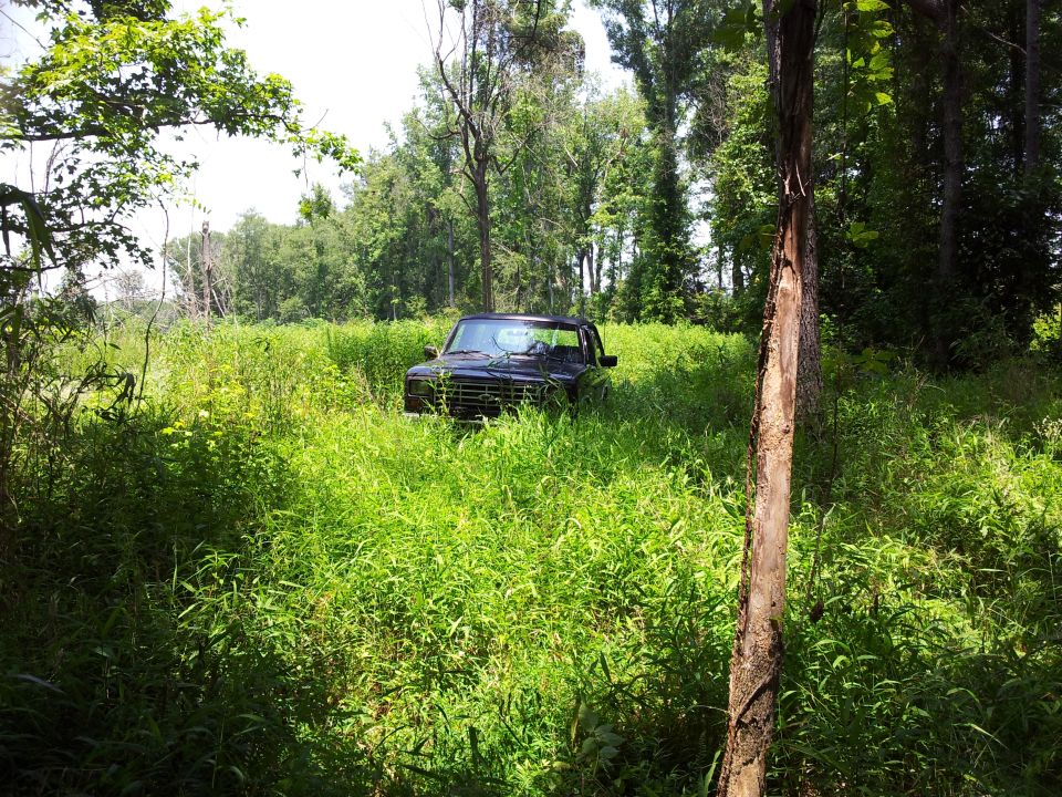 Black Ford Bronco in tall grass, front view. Some damage to the driver's side fender