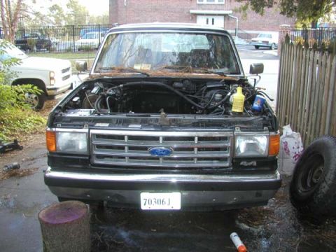 1988 Ford Bronco - The grille and headlight design suggest this Ford truck is from the late 1980s, likely a 1987 model.