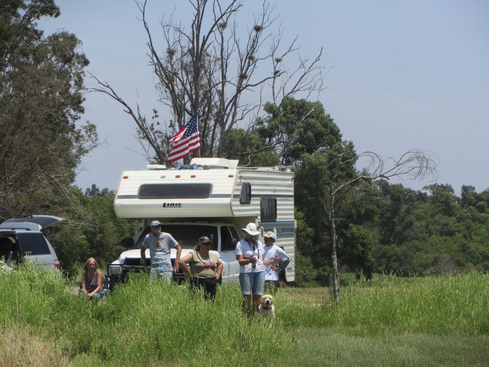RV parked in grassy area with people and a dog standing around. American flag on top of RV