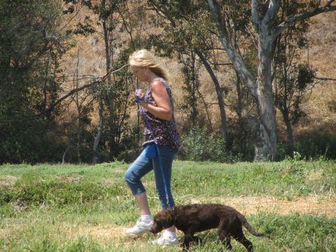 1968 Ford Mustang - A woman and her dog enjoy a walk outdoors on a sunny day.