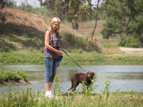 1968 Ford Mustang - A woman and her dog are by the water on a sunny day.