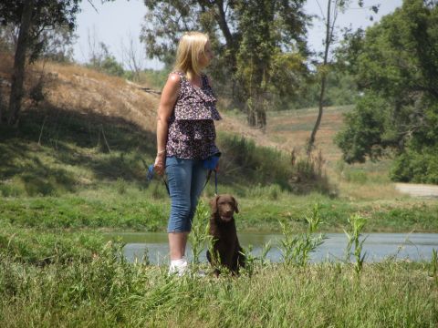 1968 Ford Mustang - A woman stands with her dog near a lake on a sunny day.