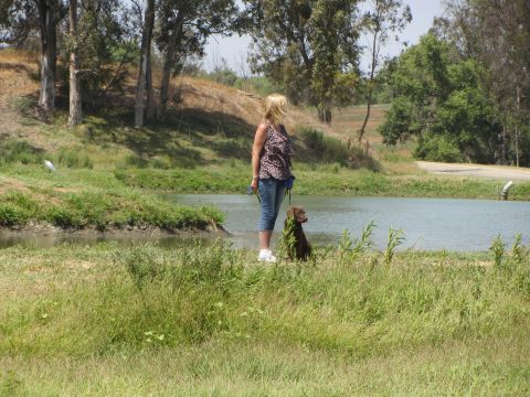 1968 Ford Mustang - A woman and her dog enjoy a day by the water in a natural setting.