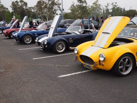 1994 Ford Bronco - Several Shelby Cobra replicas are lined up in a parking lot, hoods open.