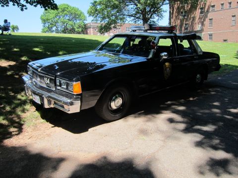 1991 Ford LTD Crown Victoria - black vintage police sedan marked 154 with a rooftop lightbar, parked on a lawn beside a brick building.