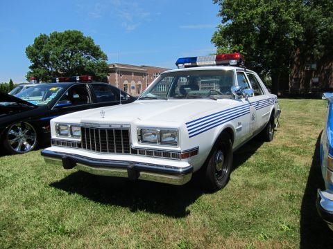 1991 Ford LTD Crown Victoria - white police sedan with blue side stripes and a rooftop lightbar parked on a lawn beside another cruiser.