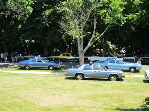 1991 Ford LTD Crown Victoria - cluster of classic police sedans, mostly light blue with a yellow one, parked on grass at an outdoor show.