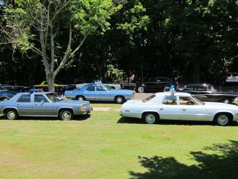 1991 Ford LTD Crown Victoria - Several classic police sedans in light blue and white parked on a grassy field at a car show.
