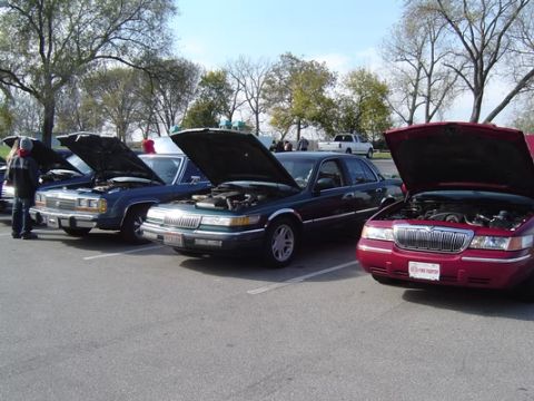 1998 Ford Crown Victoria - A lineup of sedans, including a red 1998 Ford Crown Victoria, are displayed with their hoods open at an outdoor event.
