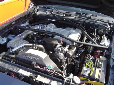 1998 Ford Crown Victoria - The Cougar's engine.