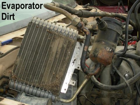 1983 Ford Bronco - This is an extreme case, but all evaporators collect trash & dirt. With the evaporator out of its housing like this, it's easy to vacuum it…