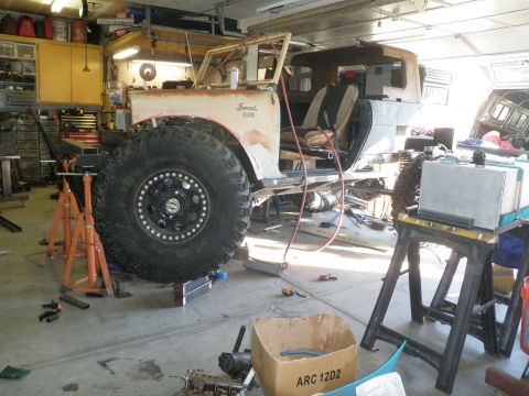 1961 International Scout 800 “Scugly”