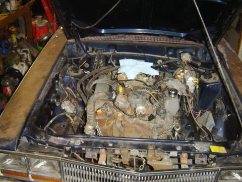 1982 Mercury Zephyr “woody”