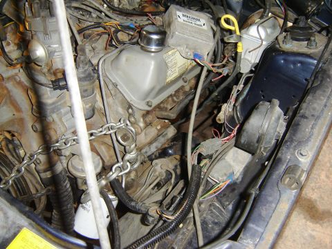 1982 Mercury Zephyr “woody”