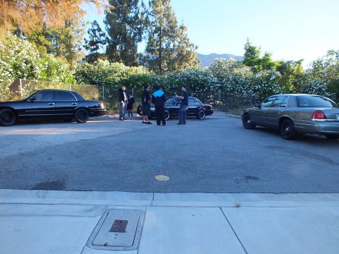 2003 Ford Crown Victoria - Group at a Crown Victoria meetup in a parking lot, sedans lined up by a hedge with mountains beyond.
