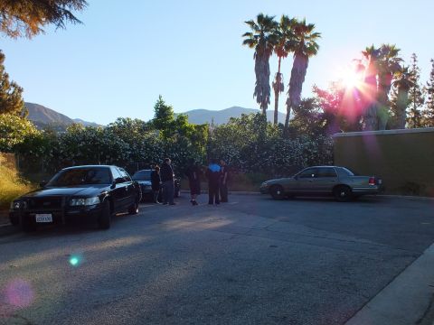 2003 Ford Crown Victoria - Group of people stand between parked sedans under palm trees with a low sun and lens flare.