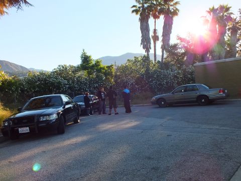 2003 Ford Crown Victoria - Several people gather around dark sedans in a parking lot backed by palms and mountains at golden hour.