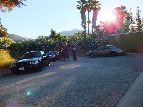 2003 Ford Crown Victoria - Dark and silver Ford sedans flank a group of people in a tree-ringed lot at sunset.