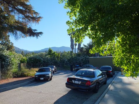 2003 Ford Crown Victoria - Black Ford sedans line a sunny hillside street shaded by a green tree with mountains beyond.
