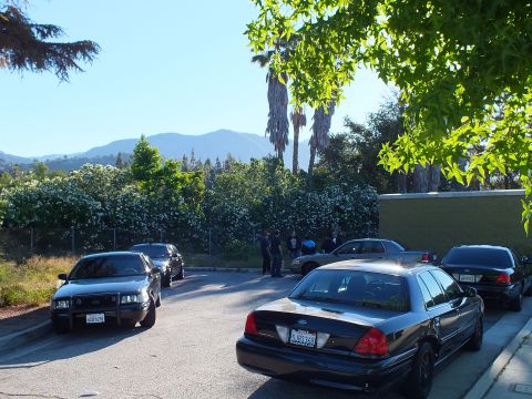 2003 Ford Crown Victoria - Black Ford sedans cluster in a hillside lot framed by palms, hedges and distant mountains.