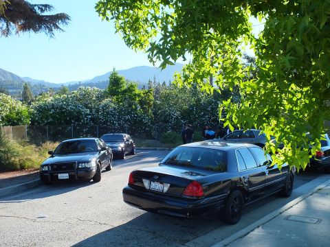 2003 Ford Crown Victoria - Rear view of a black Ford sedan among others parked on a tree-shaded hillside street.