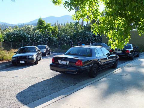 2003 Ford Crown Victoria - line of black Ford sedans sits along a hillside street as a person stands in the distance.