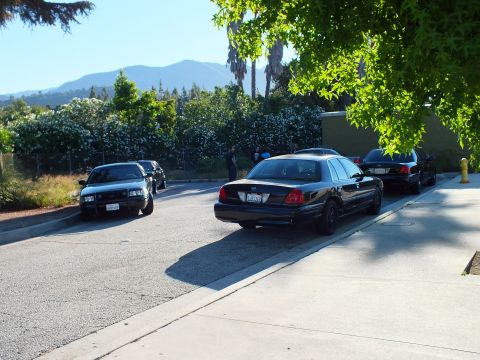 2003 Ford Crown Victoria - Black Ford sedans park along a curving lot beside a green wall with mountains behind.