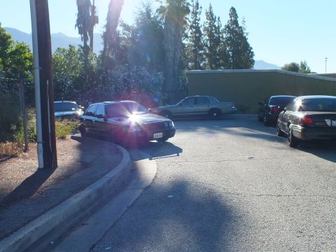 2003 Ford Crown Victoria - Sun glints off a black sedan parked at a curb near a utility pole and low green building.