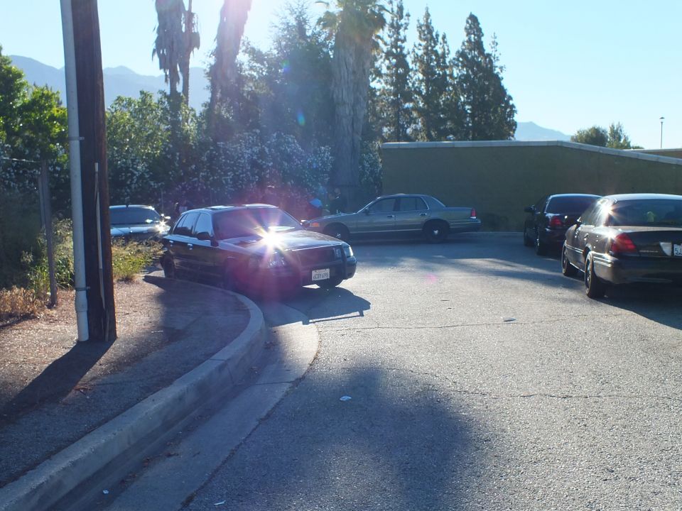 Black sedan with sun reflecting off windshield parked at curb, utility pole and green building nearby