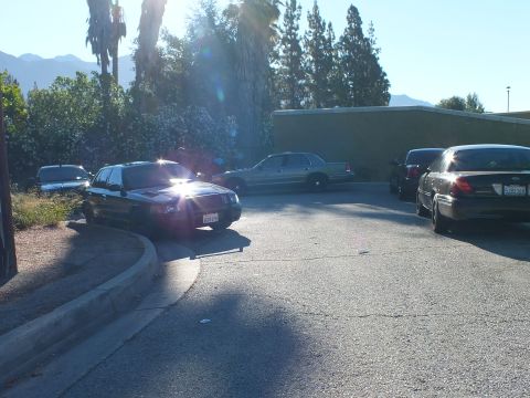 2003 Ford Crown Victoria - Sun reflects off a black Ford sedan at the curb among silver and dark sedans by a green wall.