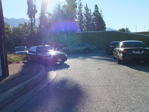 2003 Ford Crown Victoria - Black and silver Ford sedans fill a curving hillside lot under bright sun and lens flare.